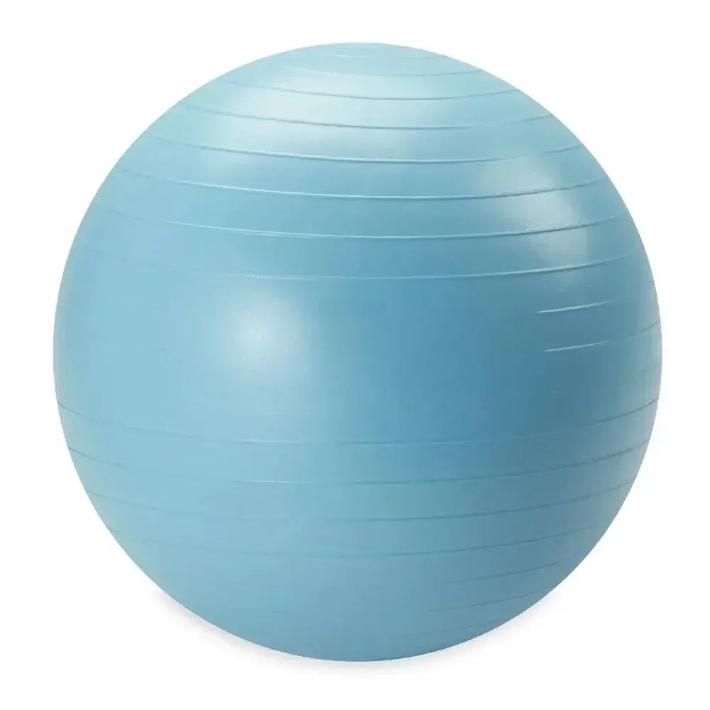Weighted Stability Ball With Pump For Exercise