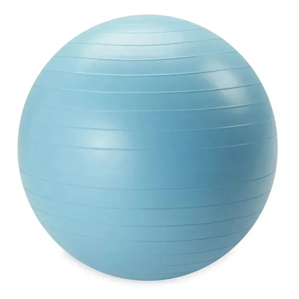 Weighted Stability Ball With Pump For Exercise